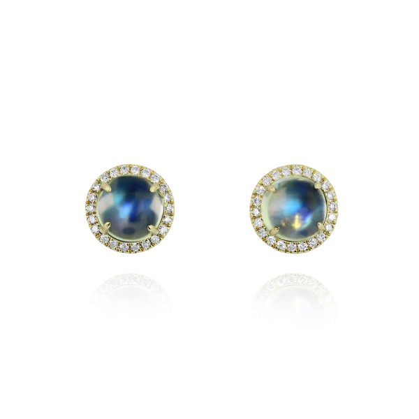 Round Moonstone Earrings