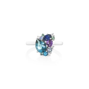 Rainbow Cluster Ring