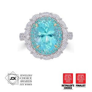 Oval Nigerian Paraiba Ring